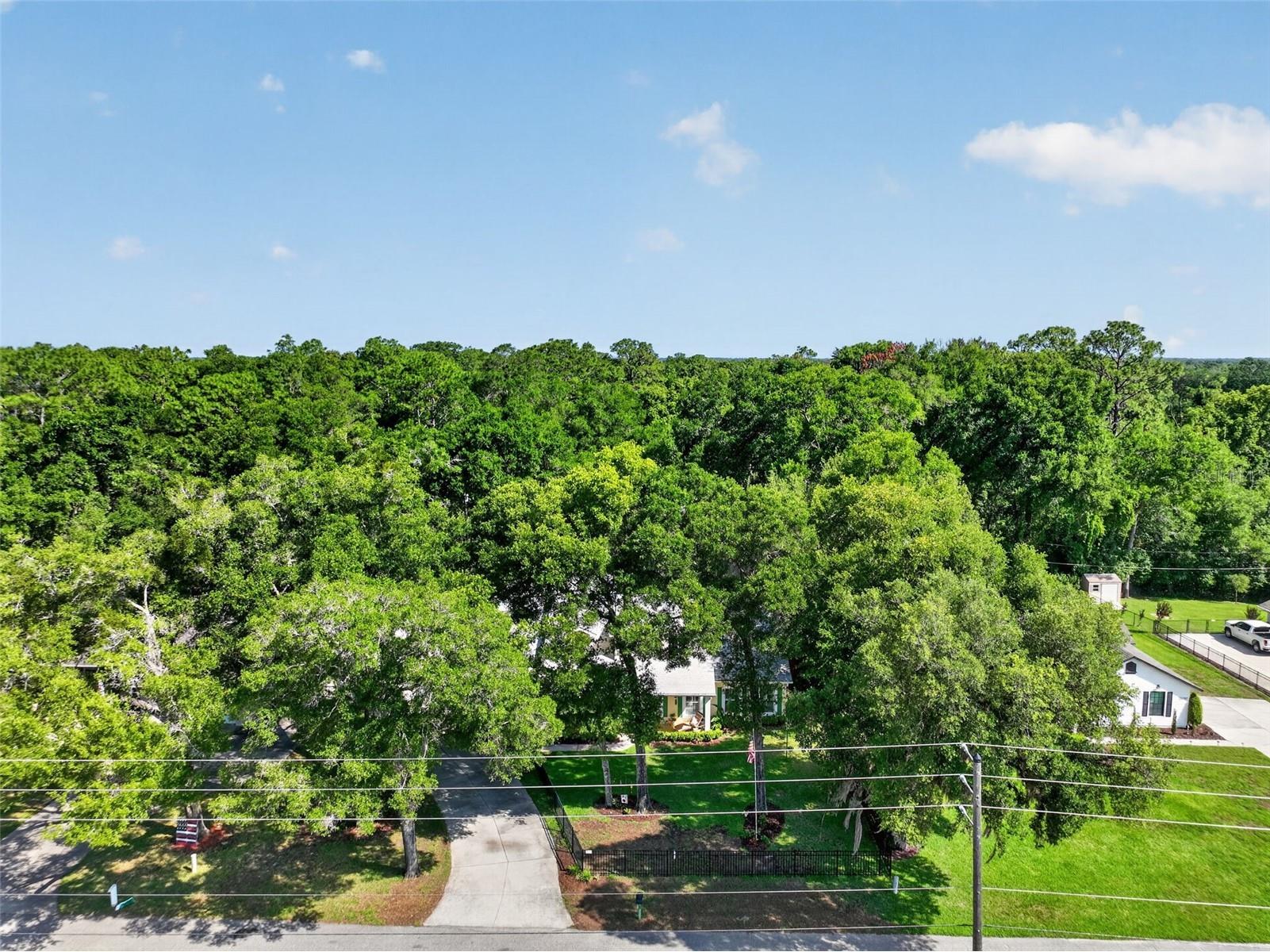 26243 Troon Avenue Mount Plymouth FL 32776 G5112791 image34