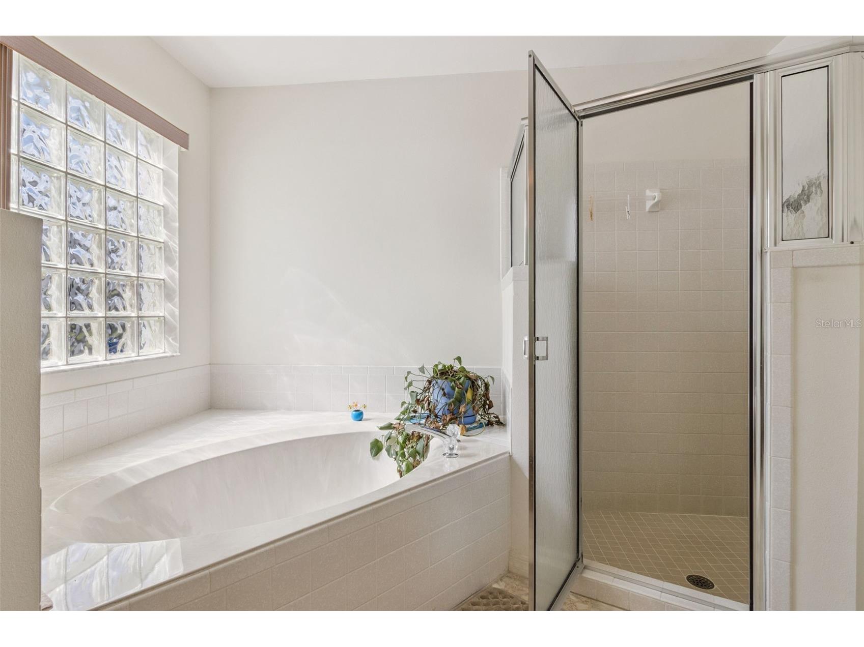 26245 Newcombe Circle Leesburg FL 34748 O6398567 image17