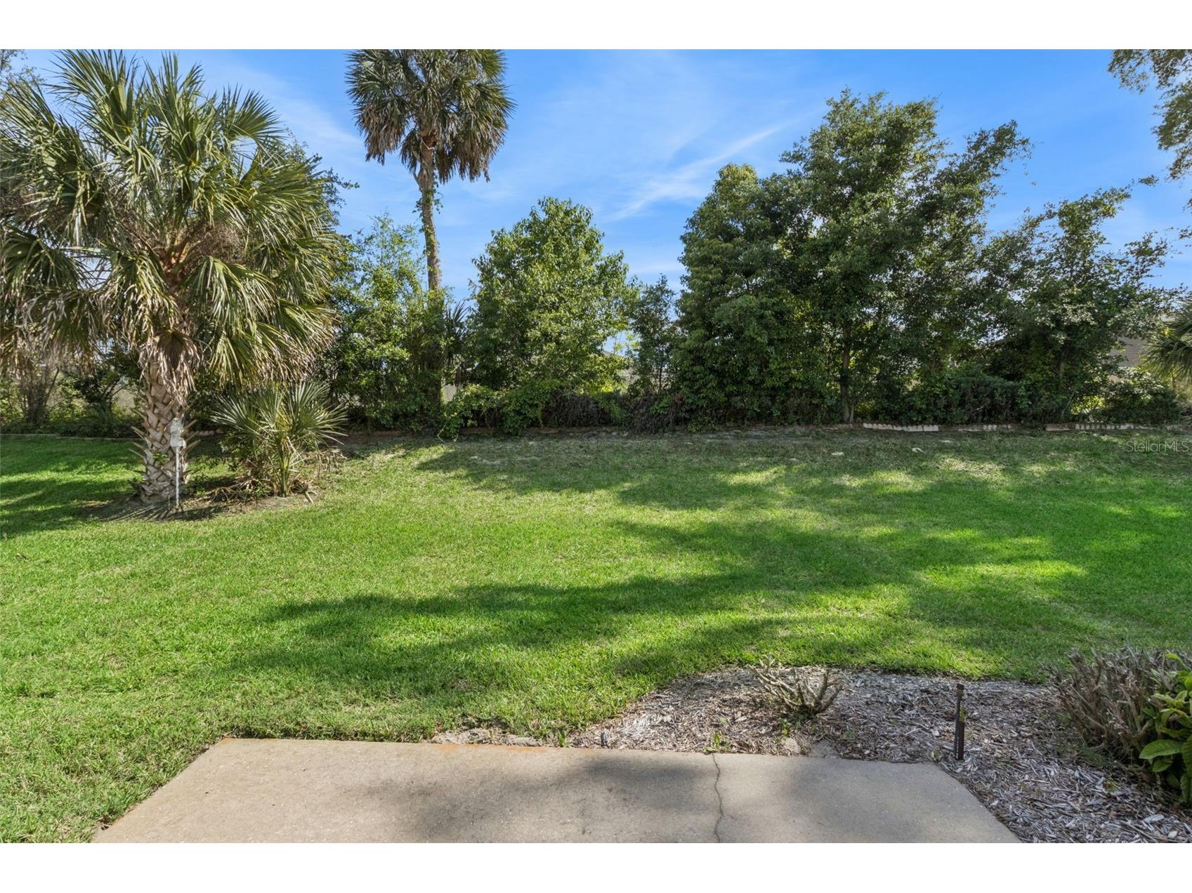 26245 Newcombe Circle Leesburg FL 34748 O6398567 image25