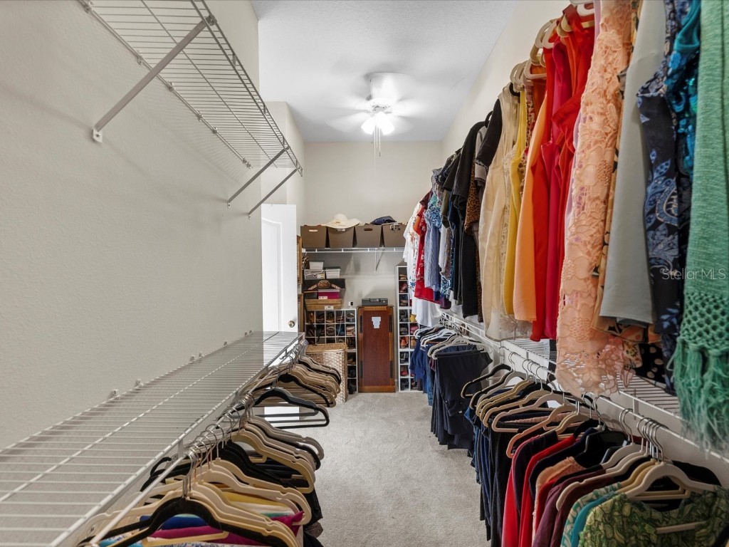 26249 Sword Dancer Drive Wesley Chapel FL 33544 W7881120 image10