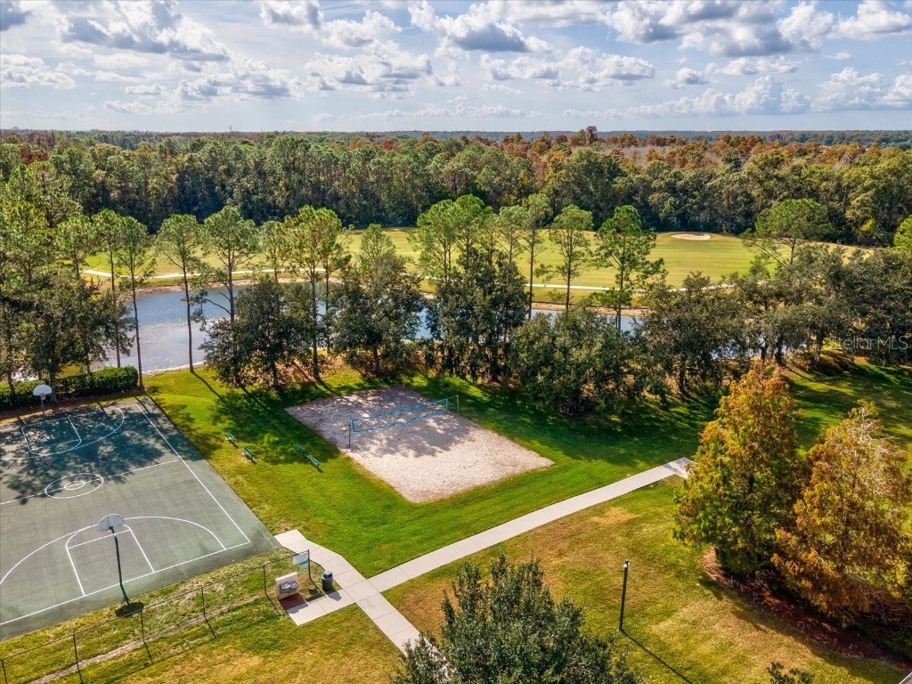 26249 Sword Dancer Drive Wesley Chapel FL 33544 W7881120 image100