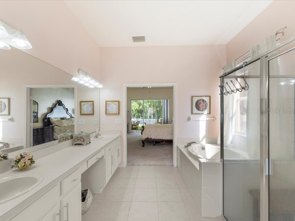 26249 Sword Dancer Drive Wesley Chapel FL 33544 W7881120 image11