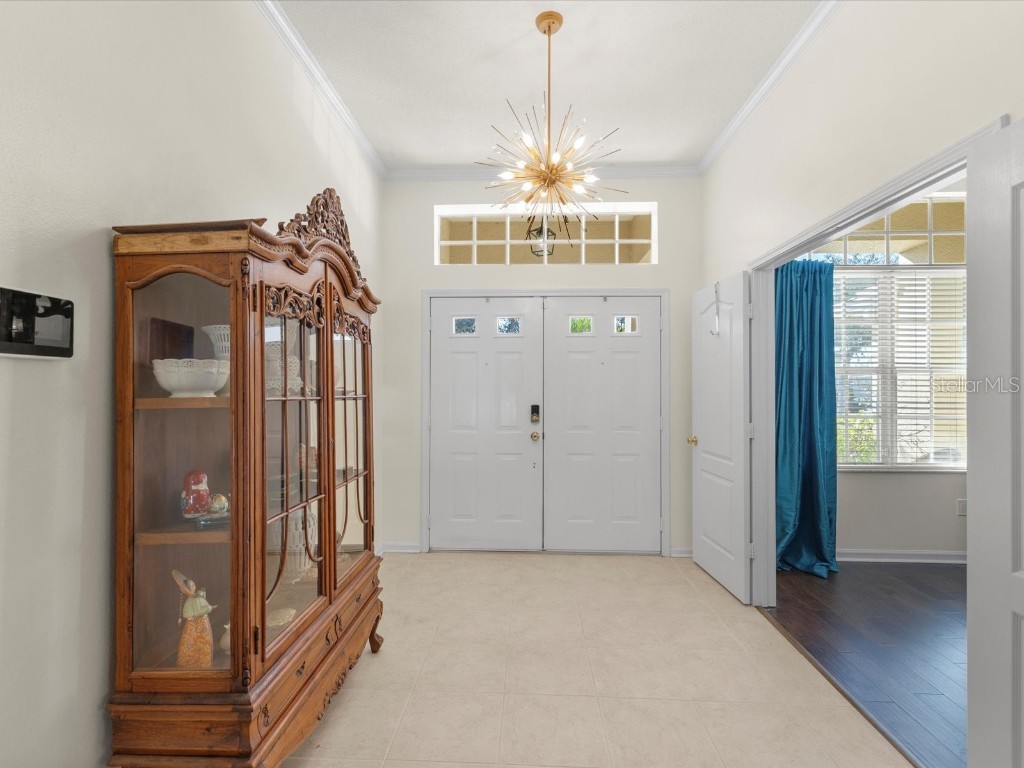 26249 Sword Dancer Drive Wesley Chapel FL 33544 W7881120 image13