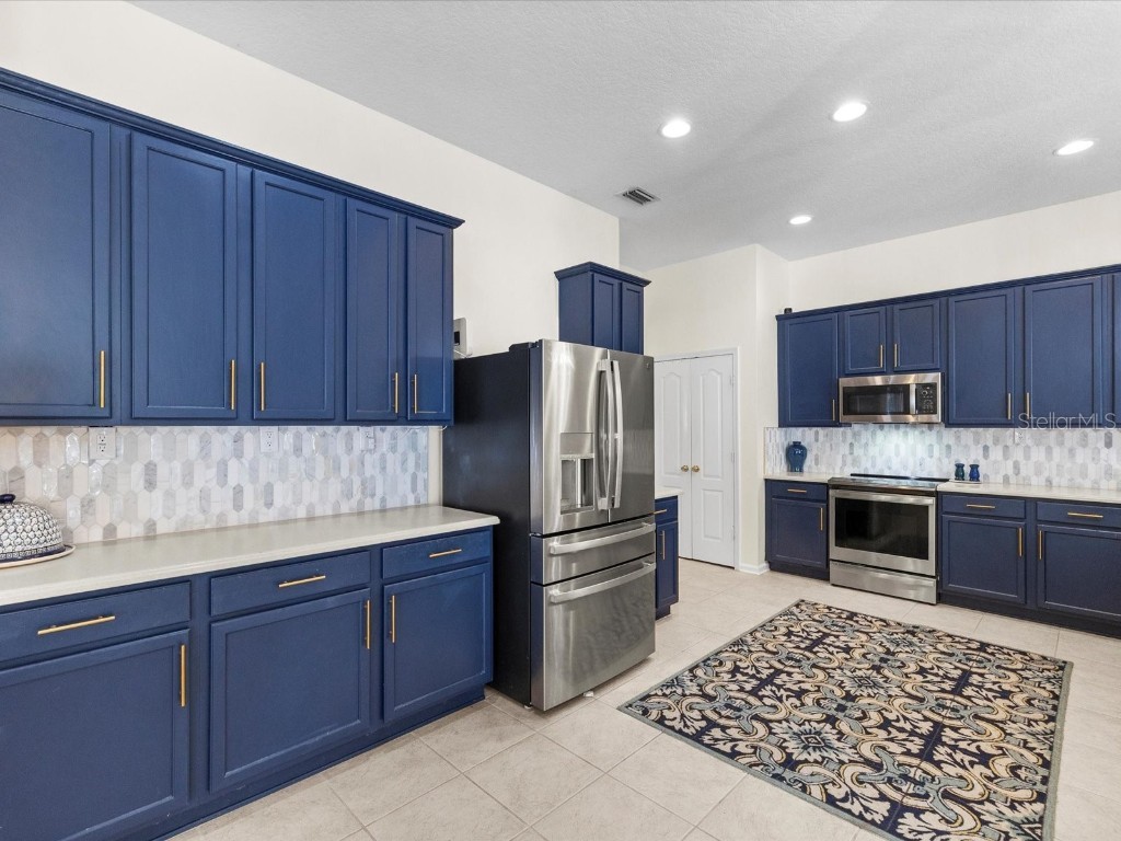 26249 Sword Dancer Drive Wesley Chapel FL 33544 W7881120 image21