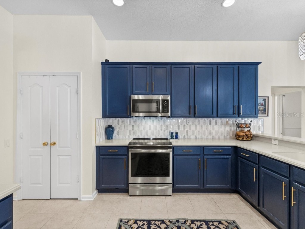 26249 Sword Dancer Drive Wesley Chapel FL 33544 W7881120 image22