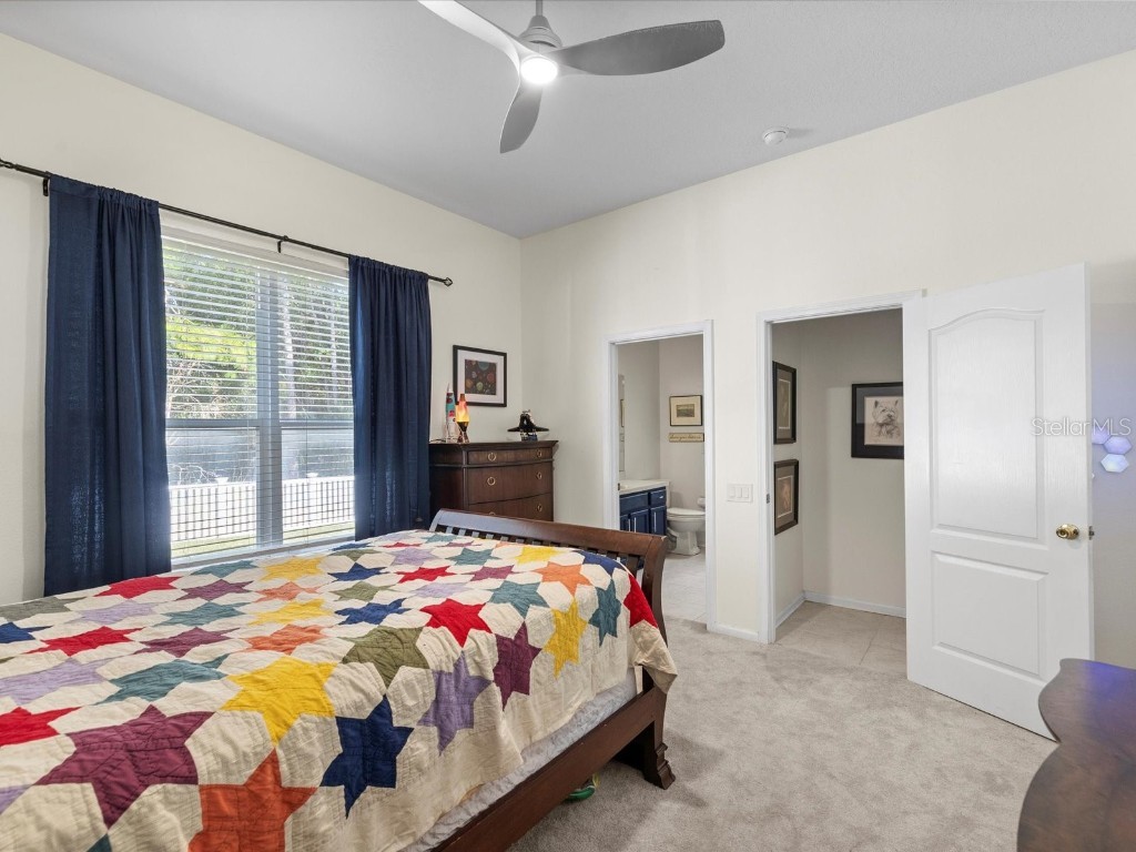 26249 Sword Dancer Drive Wesley Chapel FL 33544 W7881120 image36