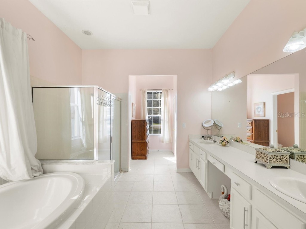 26249 Sword Dancer Drive Wesley Chapel FL 33544 W7881120 image4