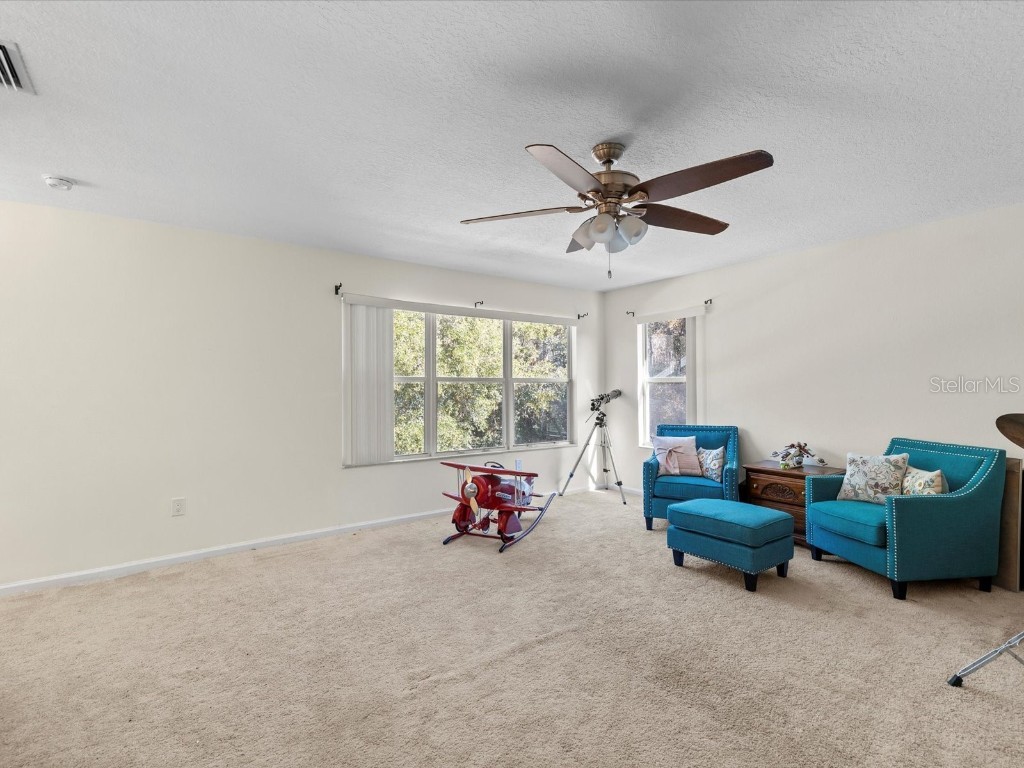 26249 Sword Dancer Drive Wesley Chapel FL 33544 W7881120 image44