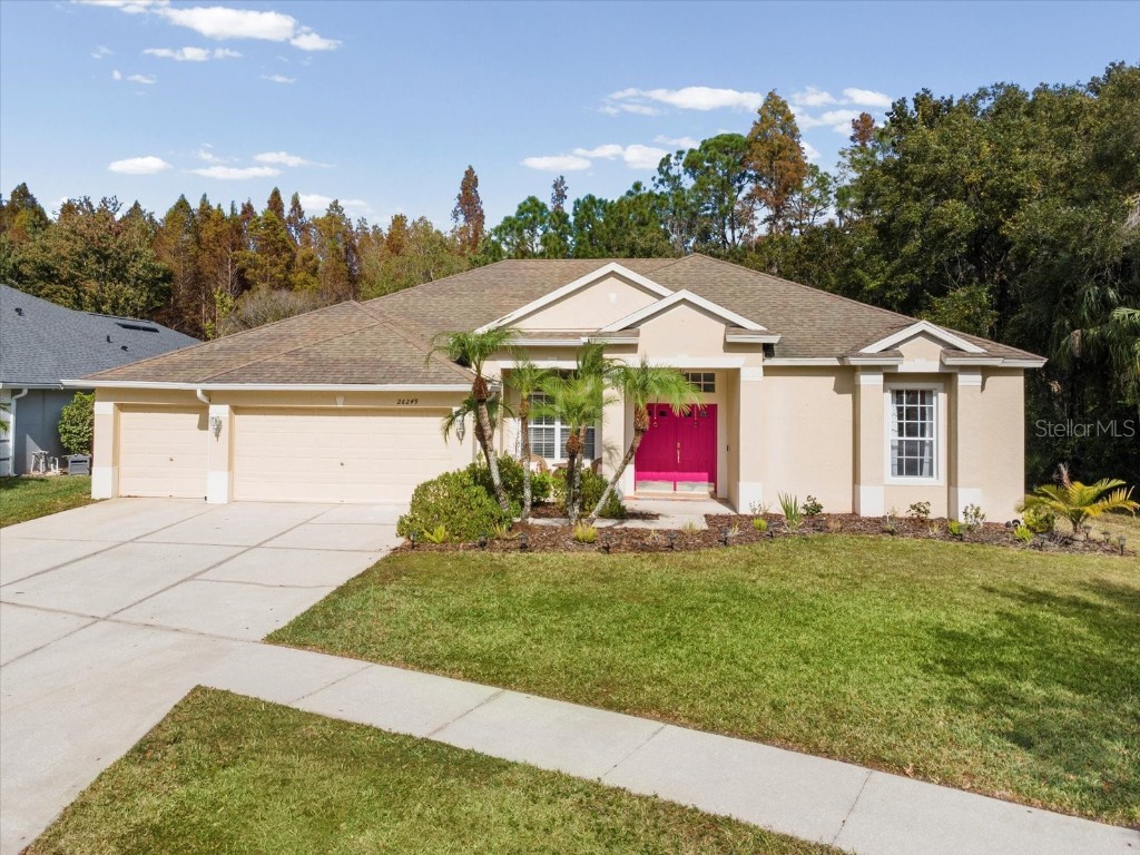 26249 Sword Dancer Drive Wesley Chapel FL 33544 W7881120 image55