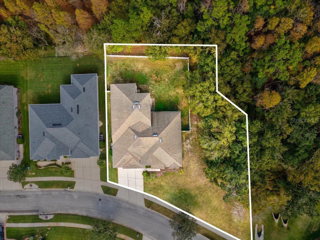 26249 Sword Dancer Drive Wesley Chapel FL 33544 W7881120 image59