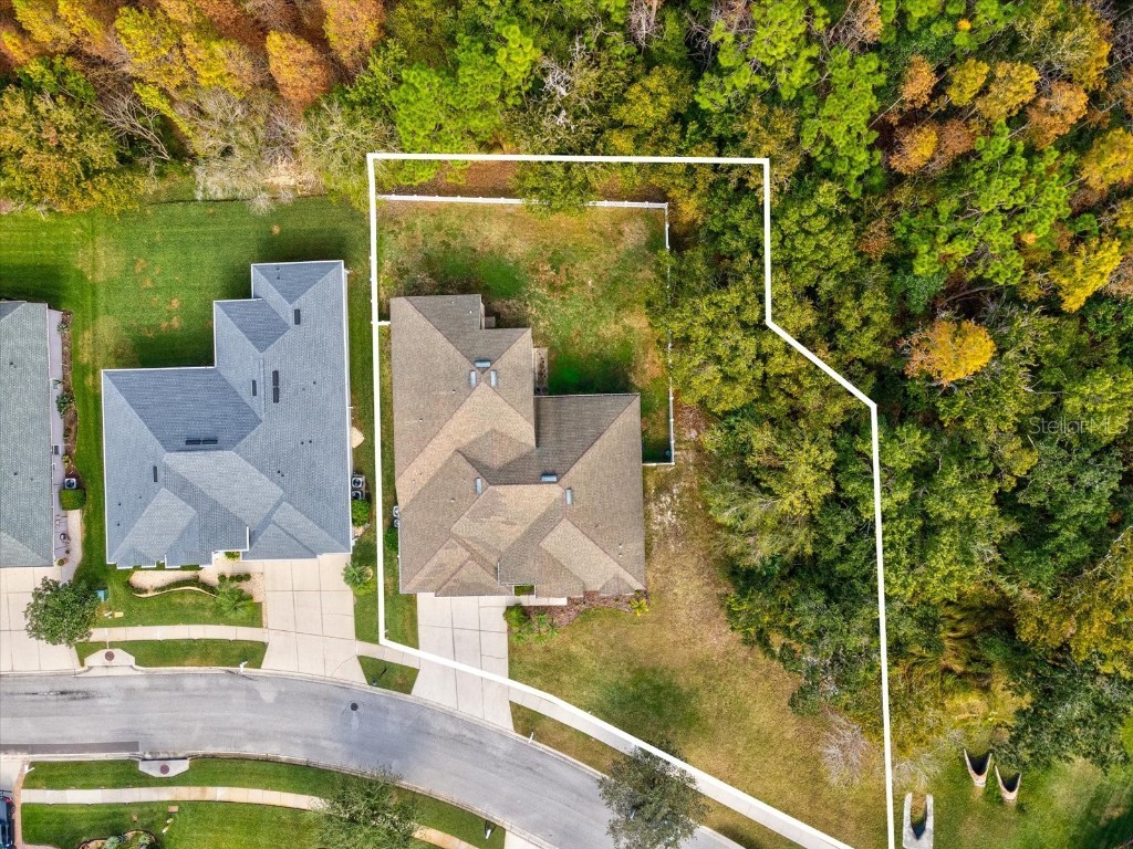 26249 Sword Dancer Drive Wesley Chapel FL 33544 W7881120 image60