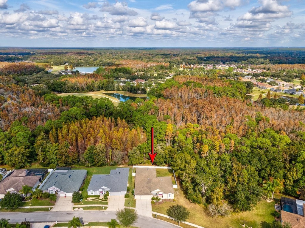 26249 Sword Dancer Drive Wesley Chapel FL 33544 W7881120 image61