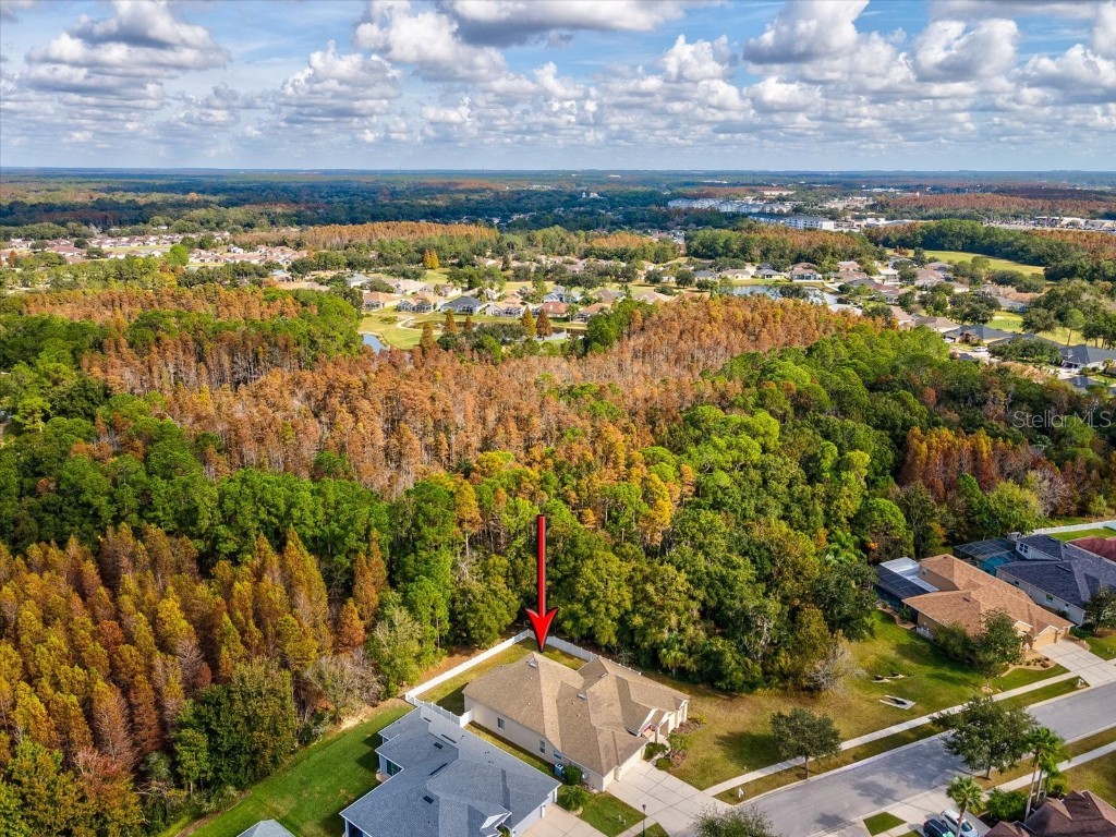 26249 Sword Dancer Drive Wesley Chapel FL 33544 W7881120 image62