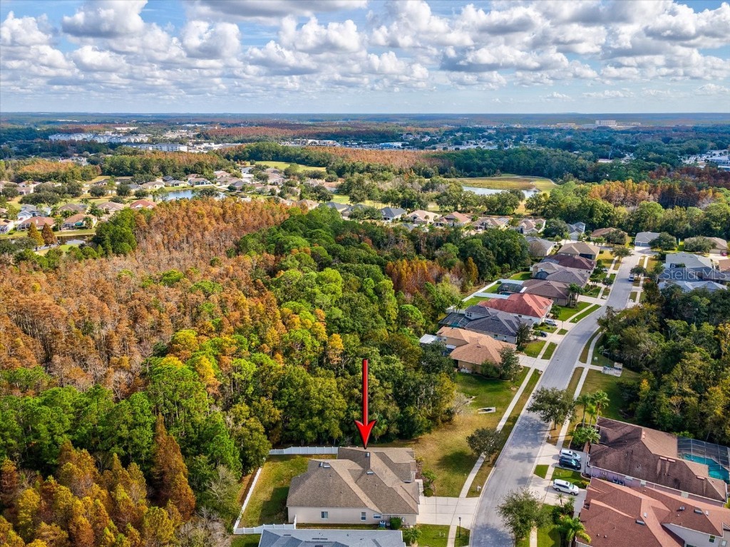 26249 Sword Dancer Drive Wesley Chapel FL 33544 W7881120 image63