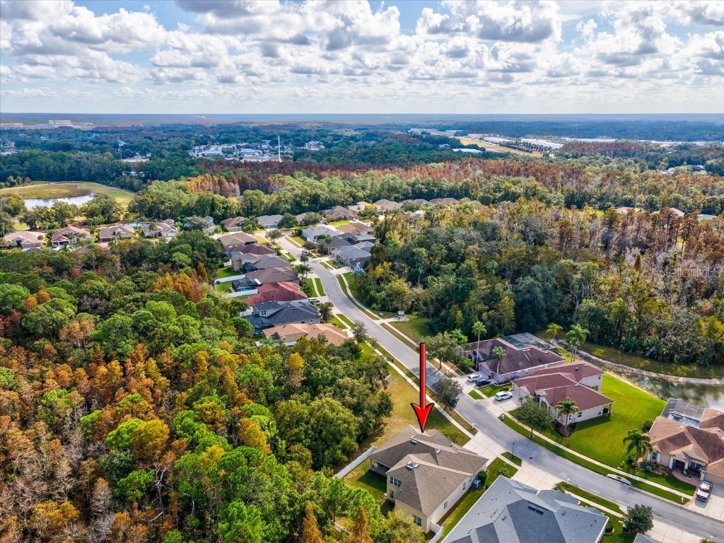 26249 Sword Dancer Drive Wesley Chapel FL 33544 W7881120 image64