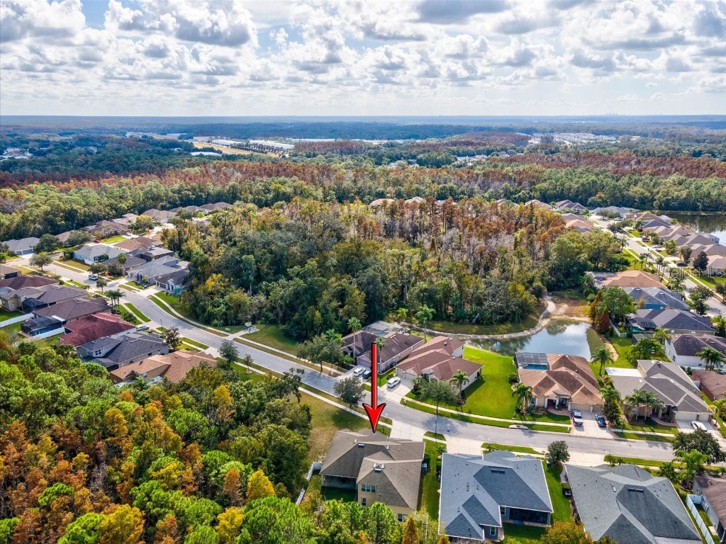 26249 Sword Dancer Drive Wesley Chapel FL 33544 W7881120 image65