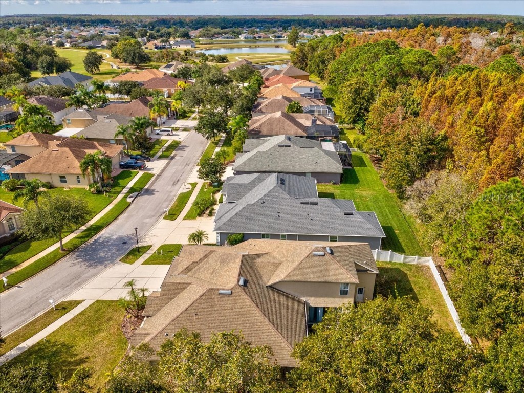 26249 Sword Dancer Drive Wesley Chapel FL 33544 W7881120 image66