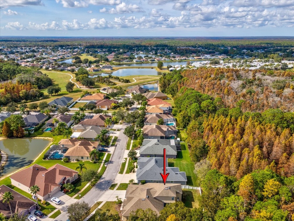 26249 Sword Dancer Drive Wesley Chapel FL 33544 W7881120 image67