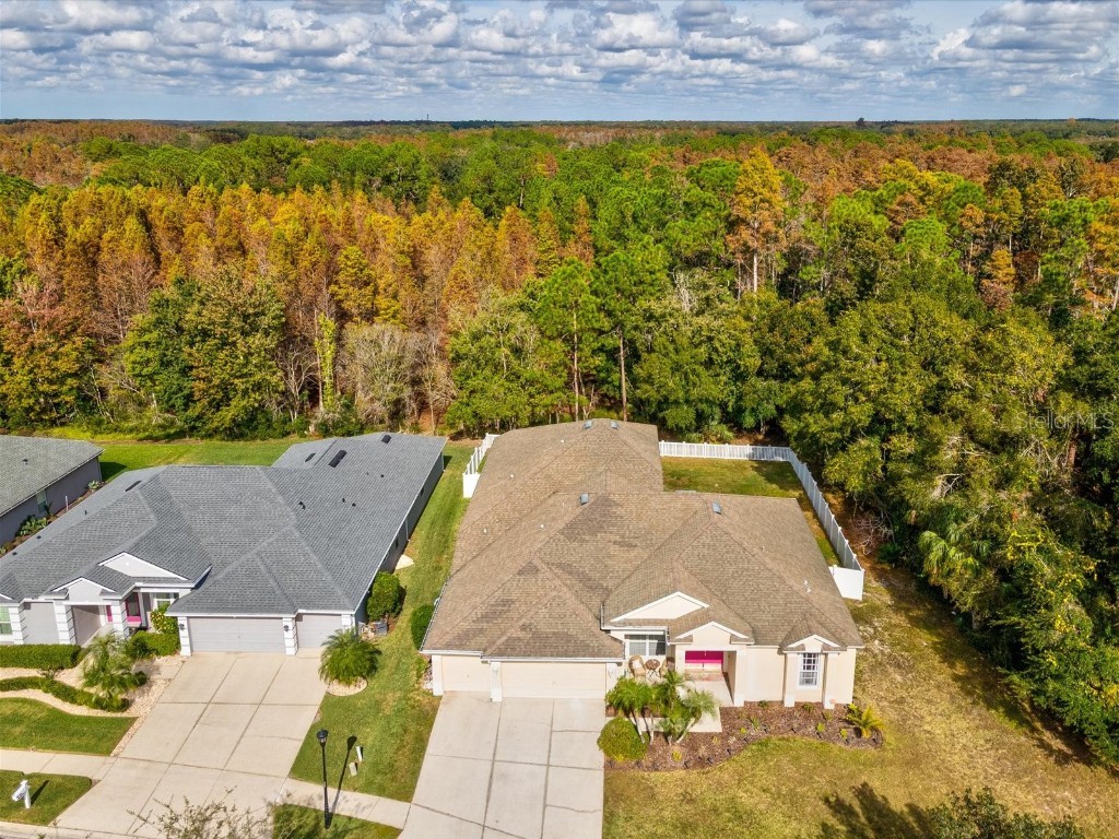 26249 Sword Dancer Drive Wesley Chapel FL 33544 W7881120 image68