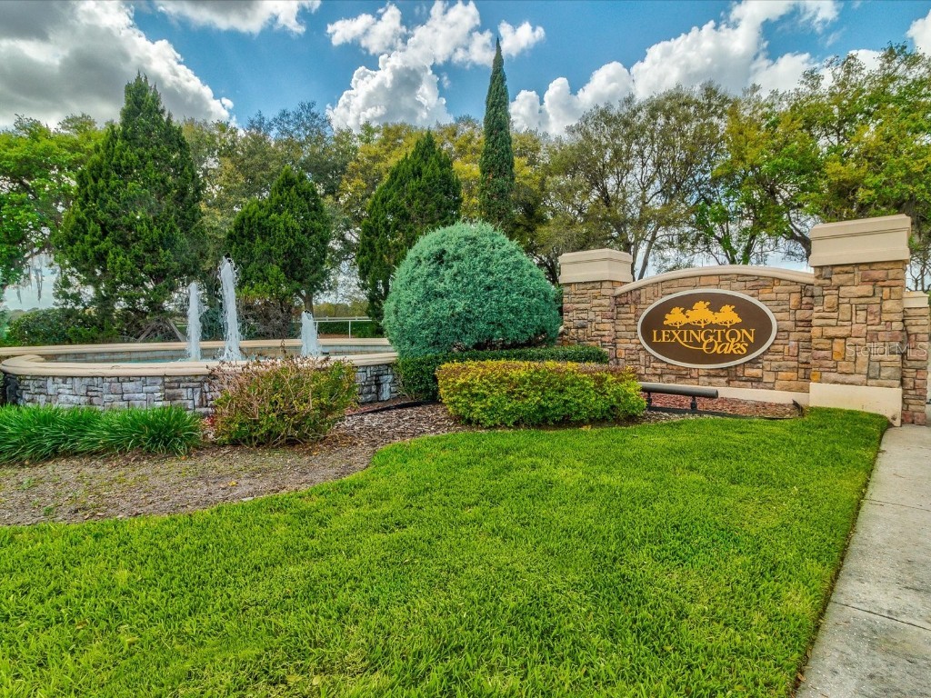 26249 Sword Dancer Drive Wesley Chapel FL 33544 W7881120 image69