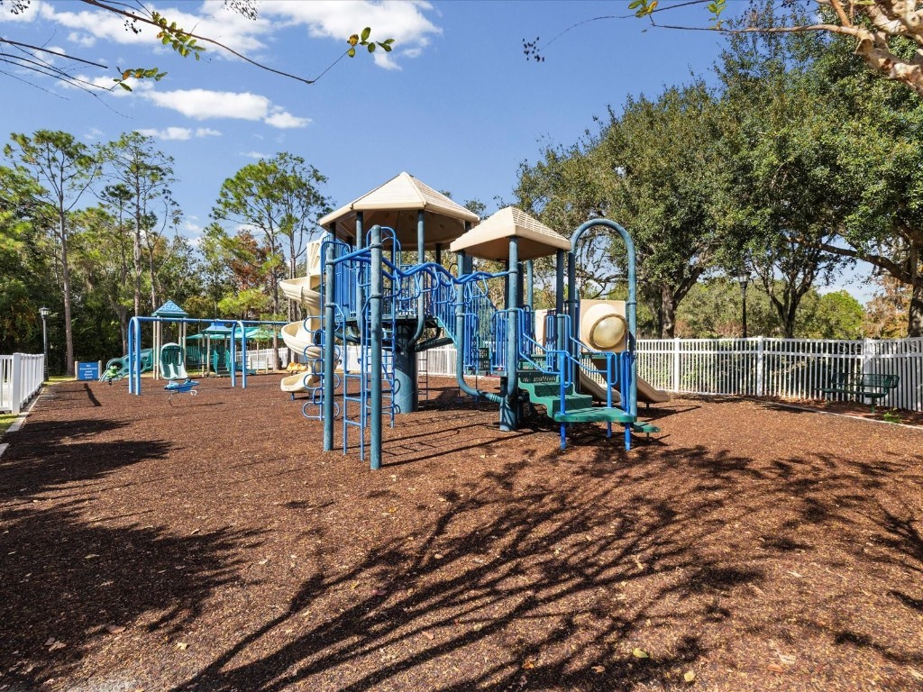 26249 Sword Dancer Drive Wesley Chapel FL 33544 W7881120 image79