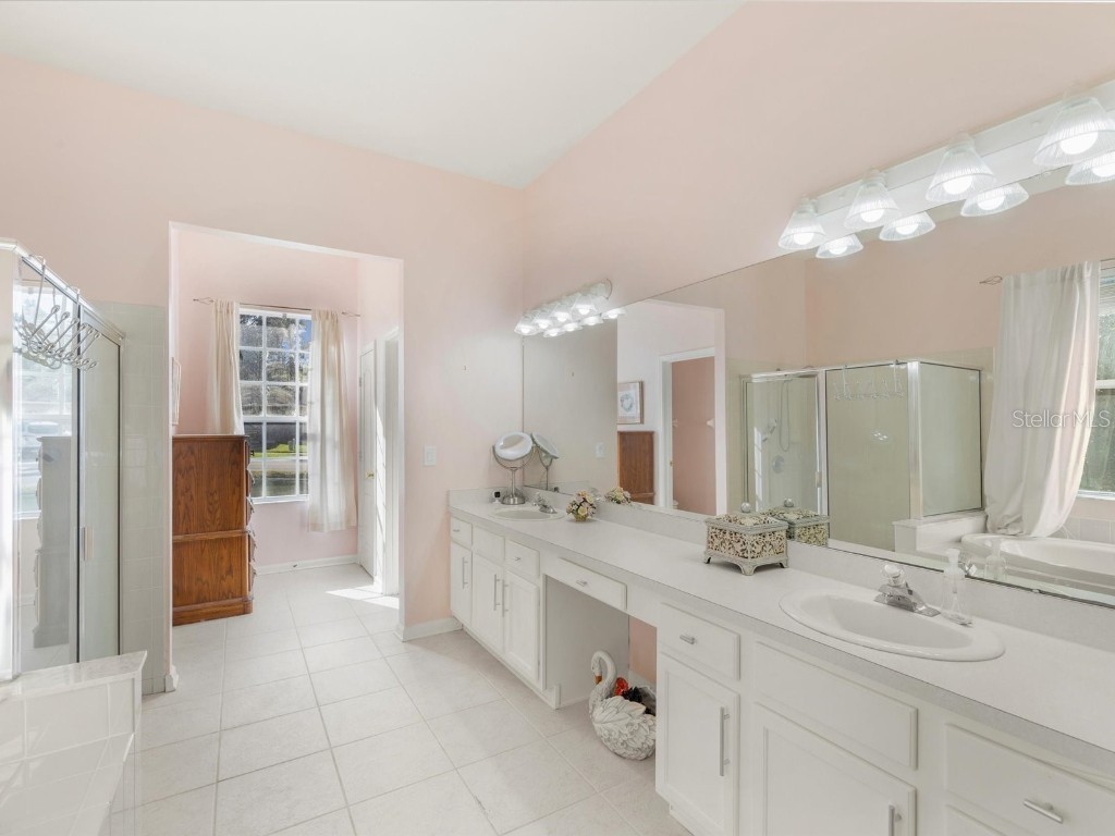 26249 Sword Dancer Drive Wesley Chapel FL 33544 W7881120 image8