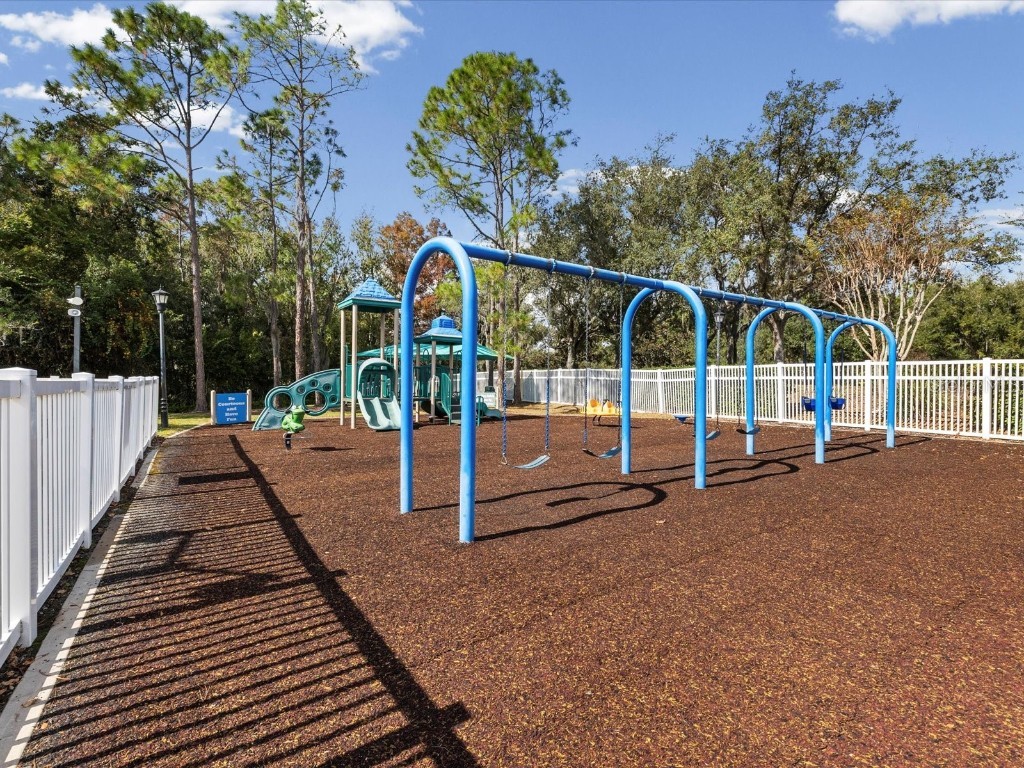 26249 Sword Dancer Drive Wesley Chapel FL 33544 W7881120 image80