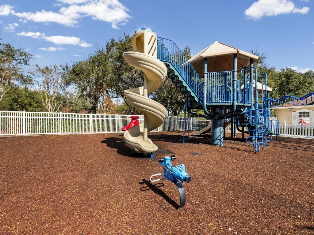 26249 Sword Dancer Drive Wesley Chapel FL 33544 W7881120 image81