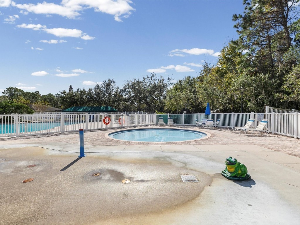 26249 Sword Dancer Drive Wesley Chapel FL 33544 W7881120 image82