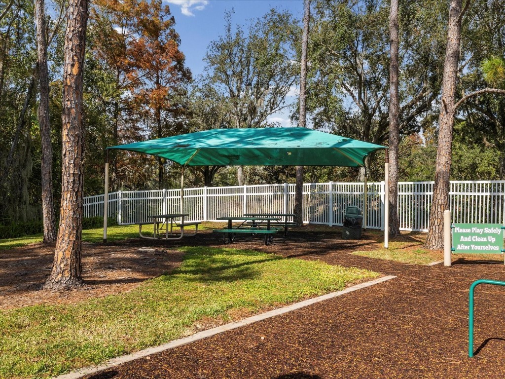 26249 Sword Dancer Drive Wesley Chapel FL 33544 W7881120 image84