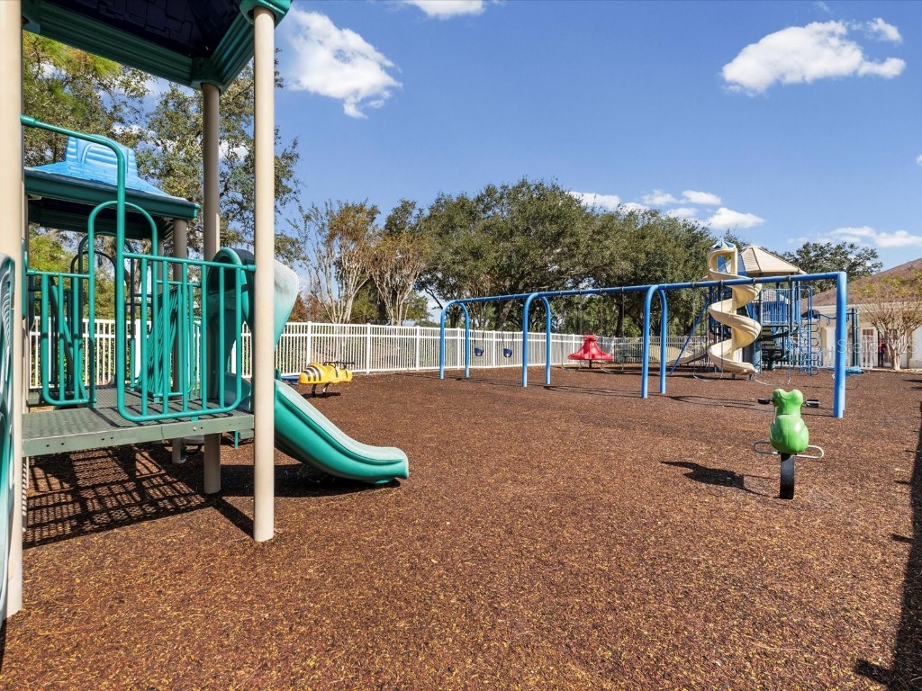 26249 Sword Dancer Drive Wesley Chapel FL 33544 W7881120 image85