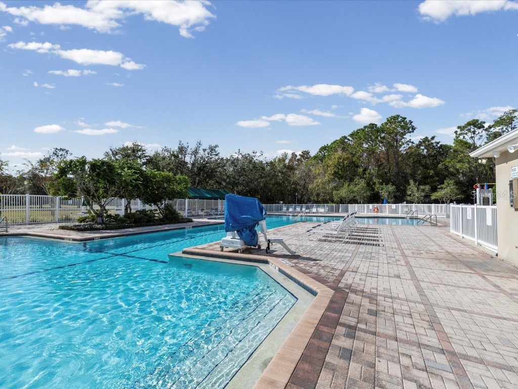 26249 Sword Dancer Drive Wesley Chapel FL 33544 W7881120 image86