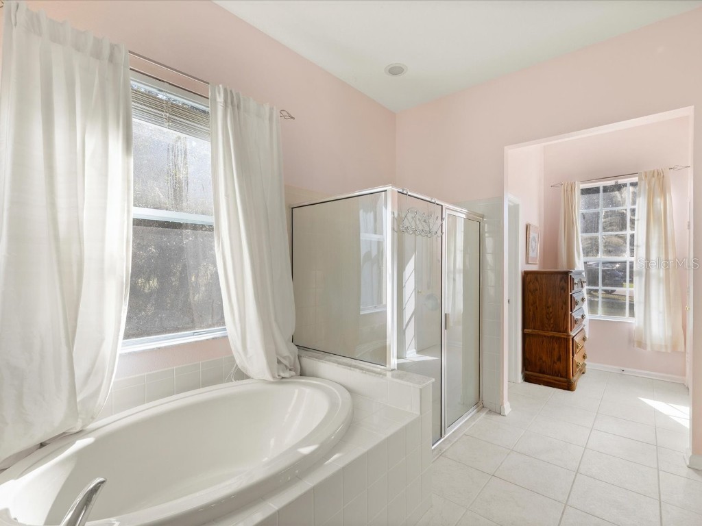 26249 Sword Dancer Drive Wesley Chapel FL 33544 W7881120 image9