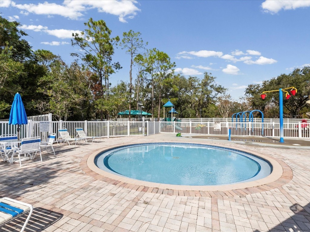 26249 Sword Dancer Drive Wesley Chapel FL 33544 W7881120 image90