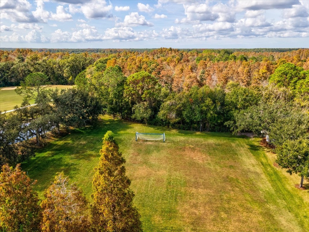 26249 Sword Dancer Drive Wesley Chapel FL 33544 W7881120 image97