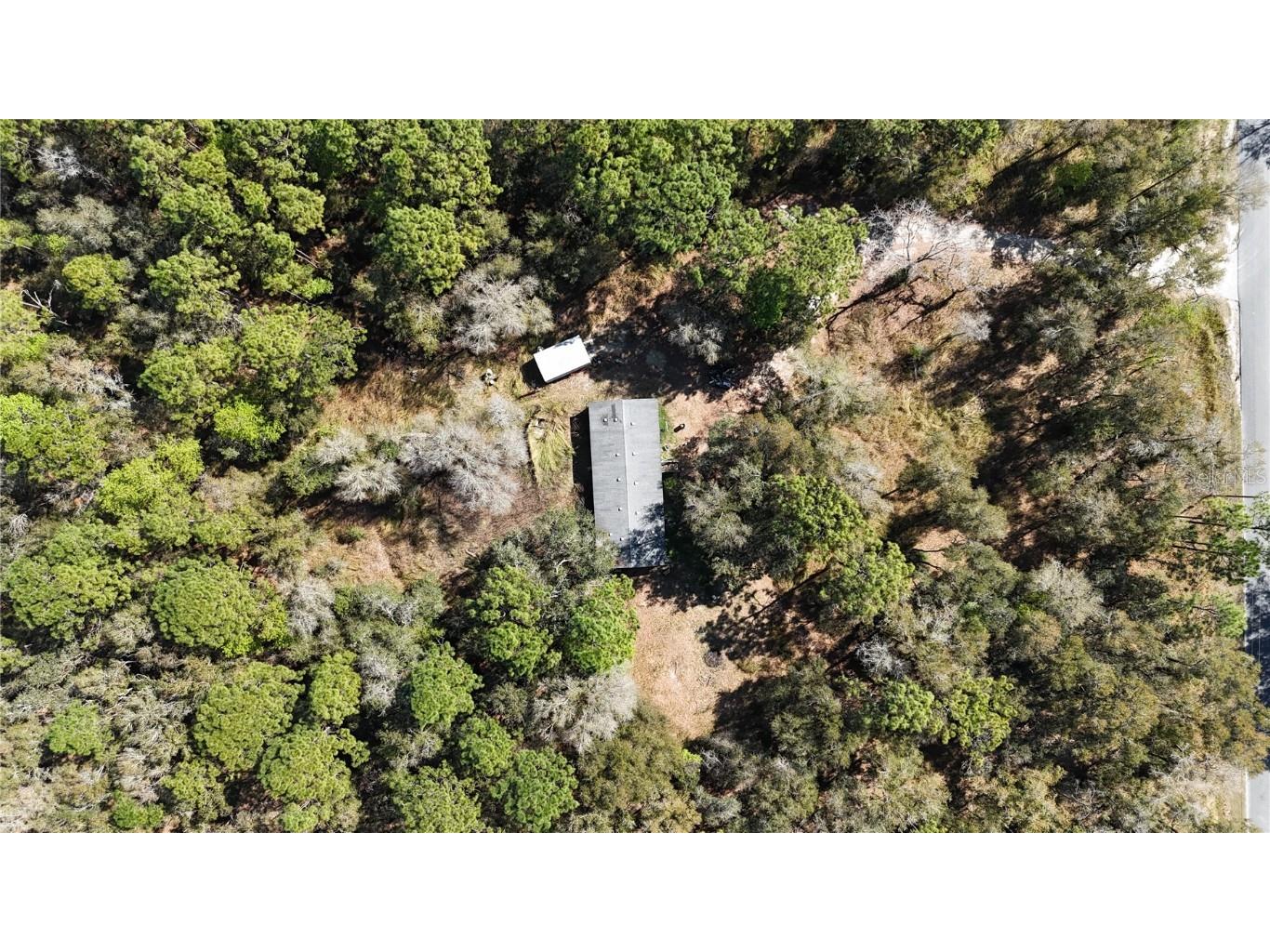 2625 E Mary Lue Street Inverness FL 34453 OM696260 image1