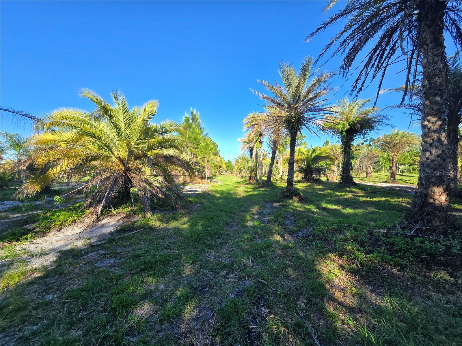 2625 Glencoe Farms Road New Smyrna Beach FL 32168 NS1084832 image8
