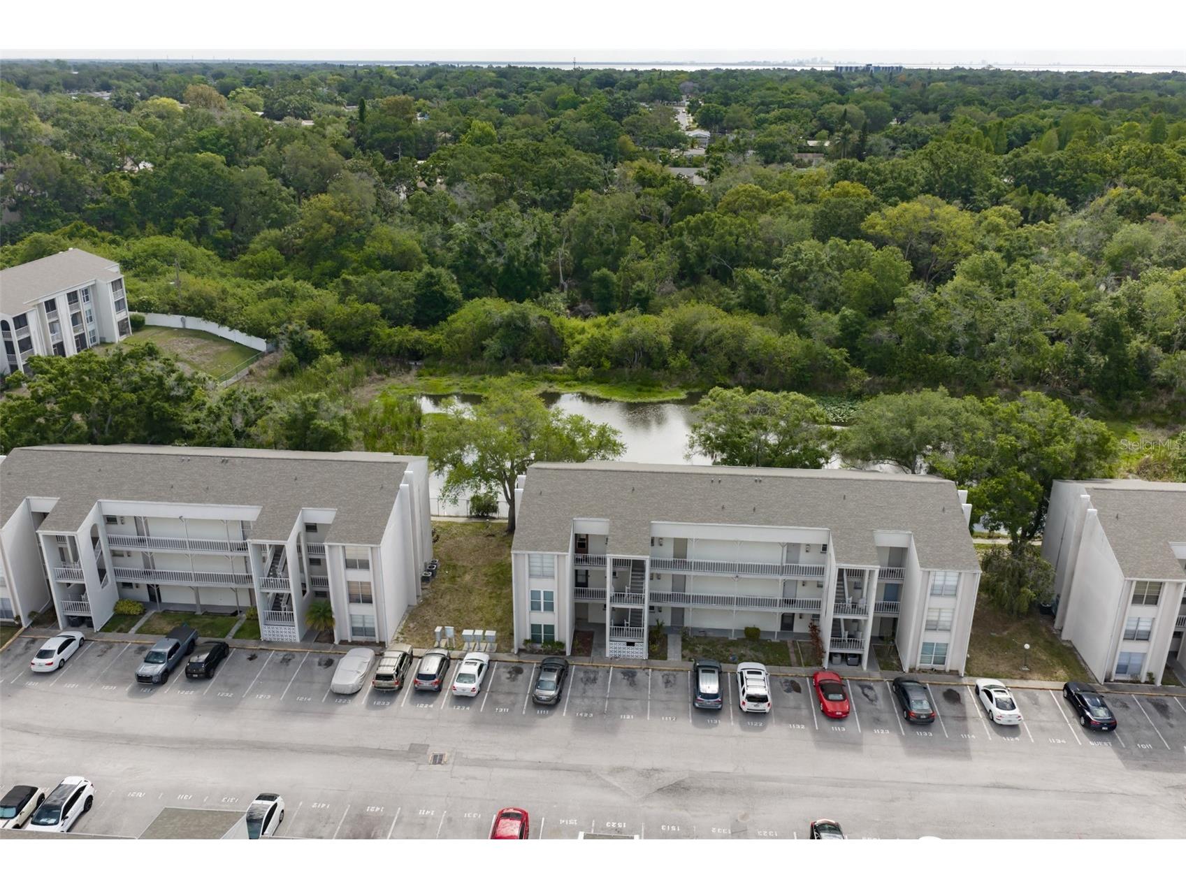 2625 State Road 590 #1121 Clearwater FL 33759 TB8500819 image29