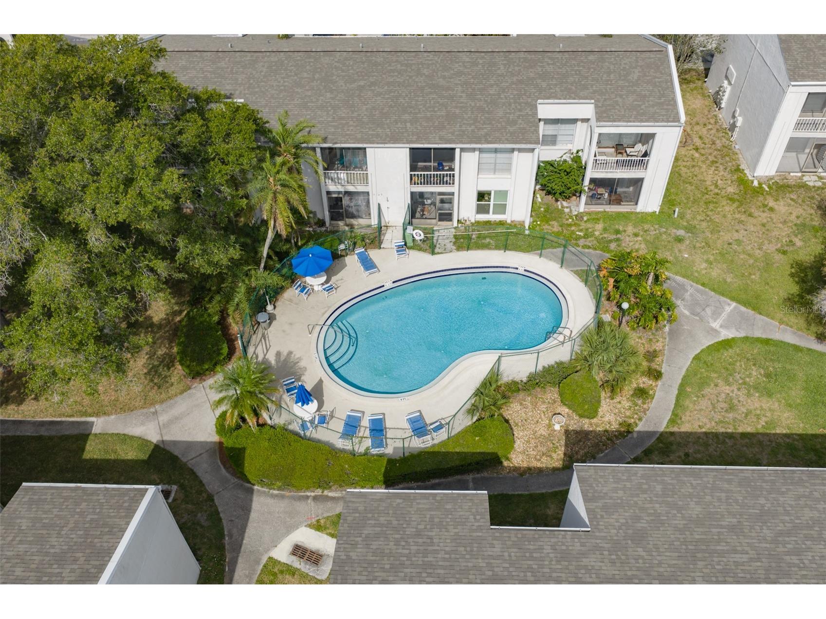 2625 State Road 590 #1121 Clearwater FL 33759 TB8500819 image36
