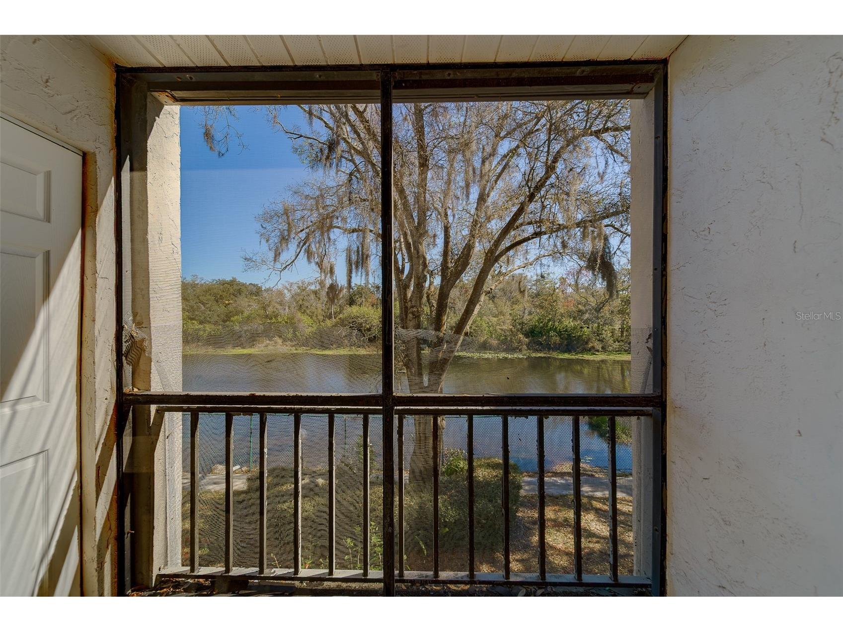 2625 State Road 590 #1123 Clearwater FL 33759 TB8471974 image1