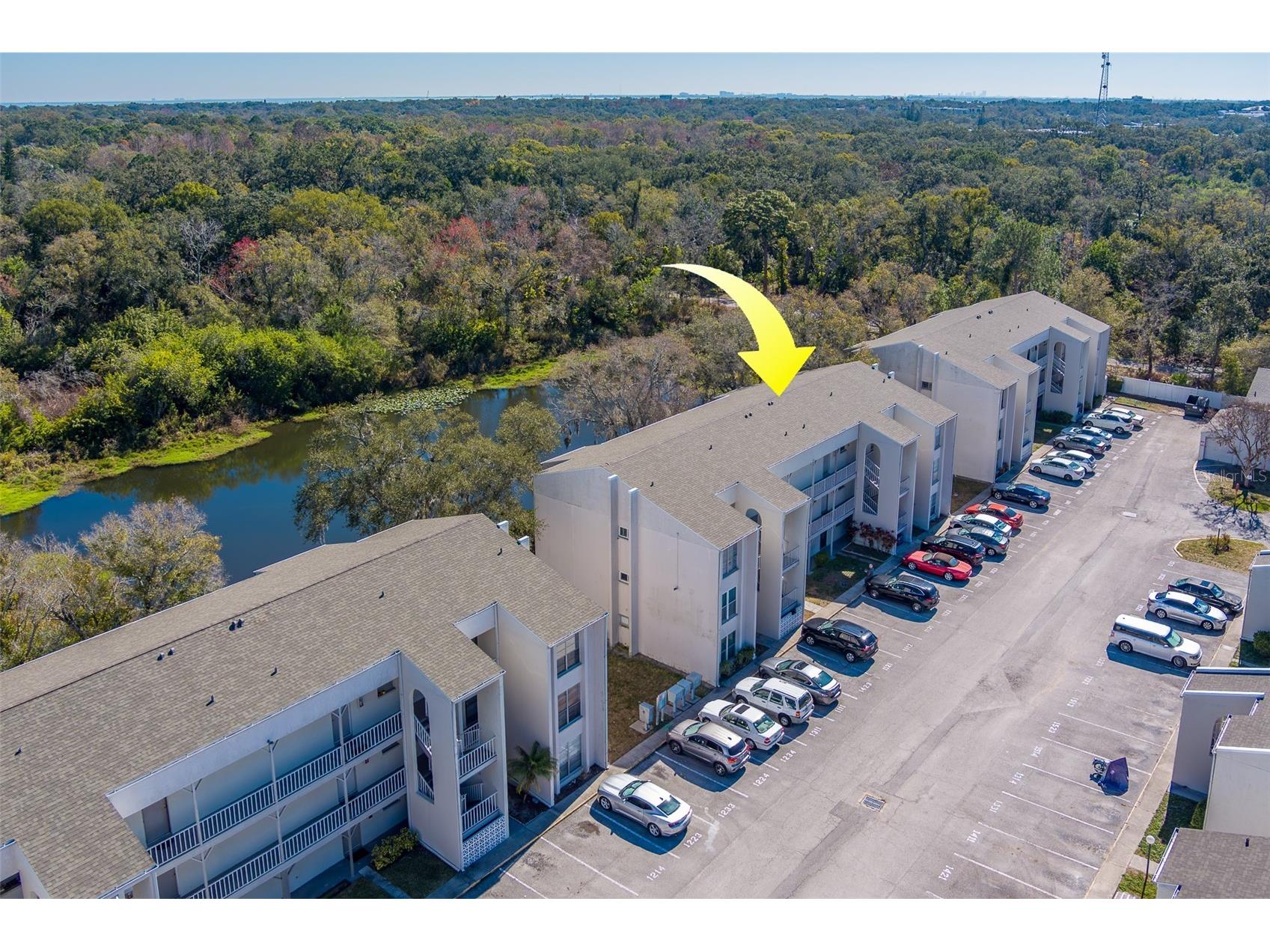 2625 State Road 590 #1123 Clearwater FL 33759 TB8471974 image36