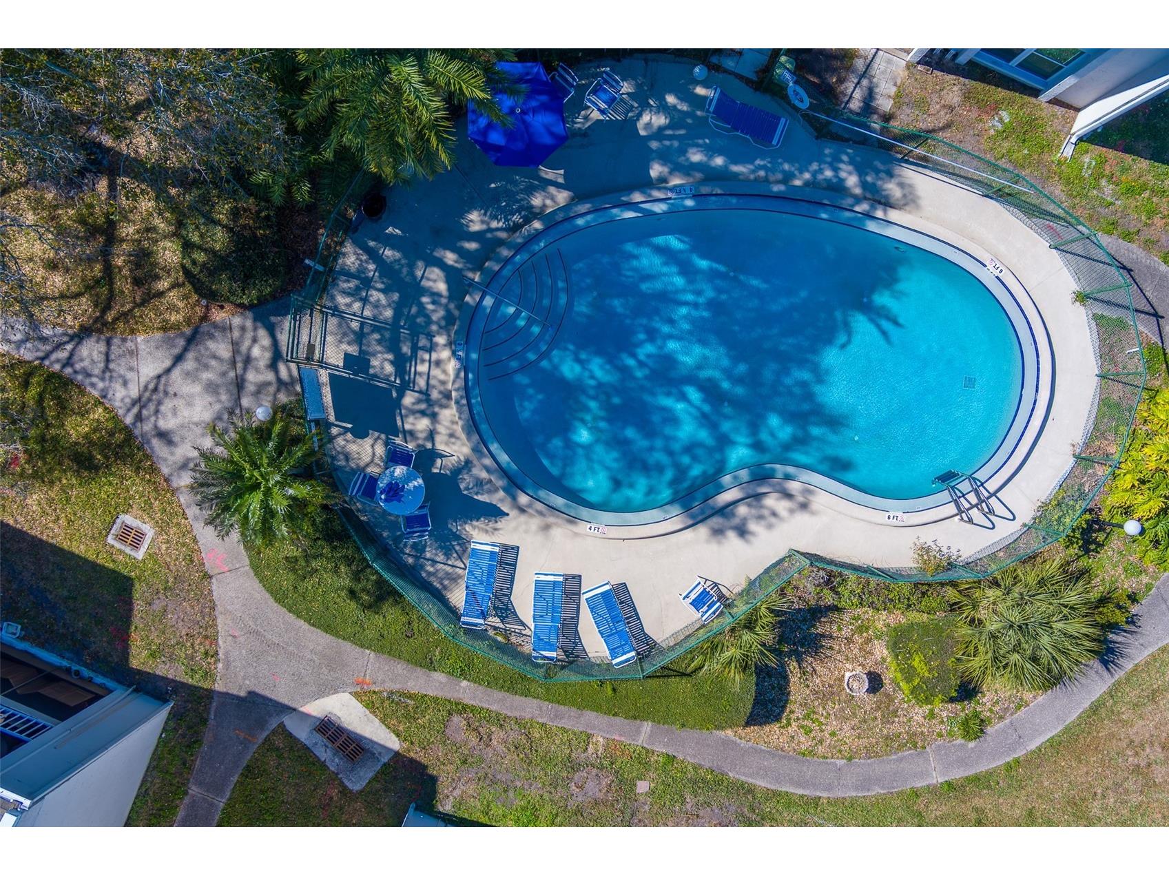 2625 State Road 590 #1123 Clearwater FL 33759 TB8471974 image37