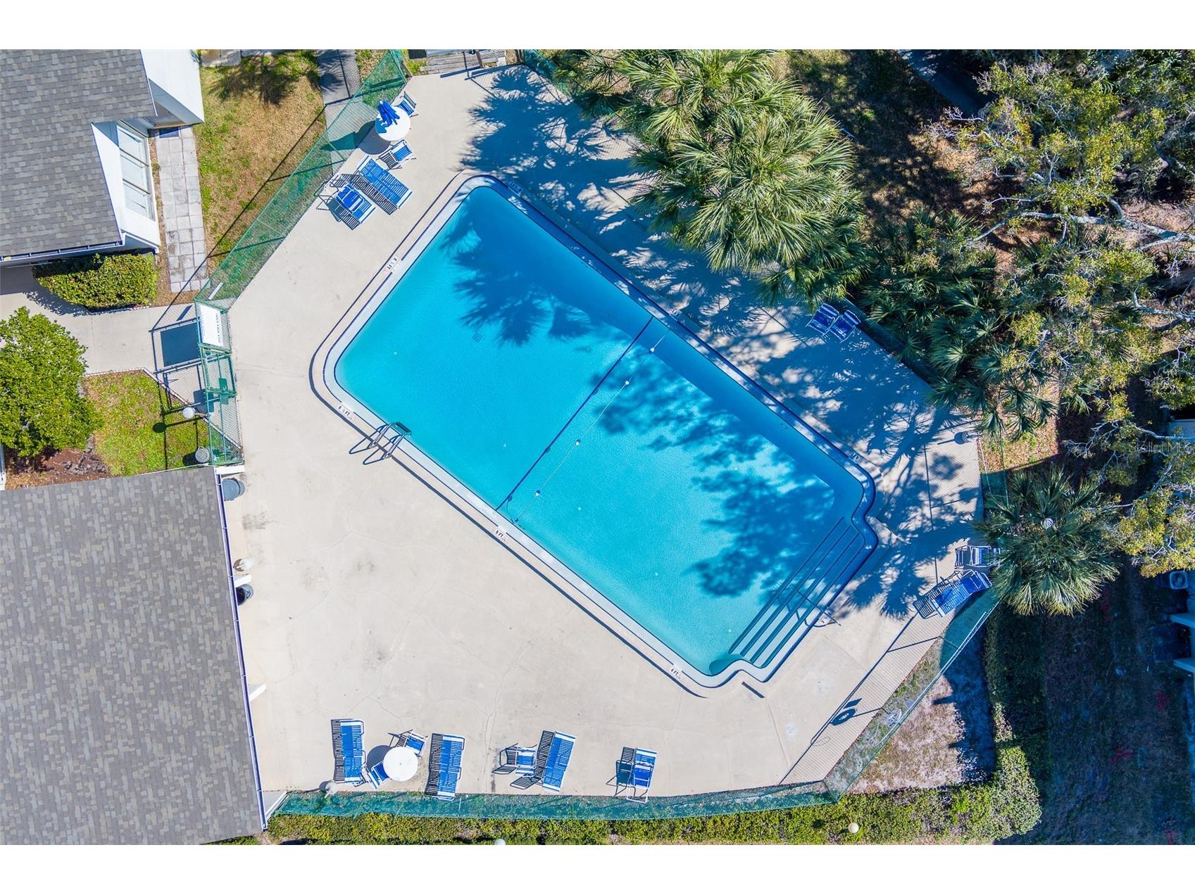 2625 State Road 590 #1123 Clearwater FL 33759 TB8471974 image38