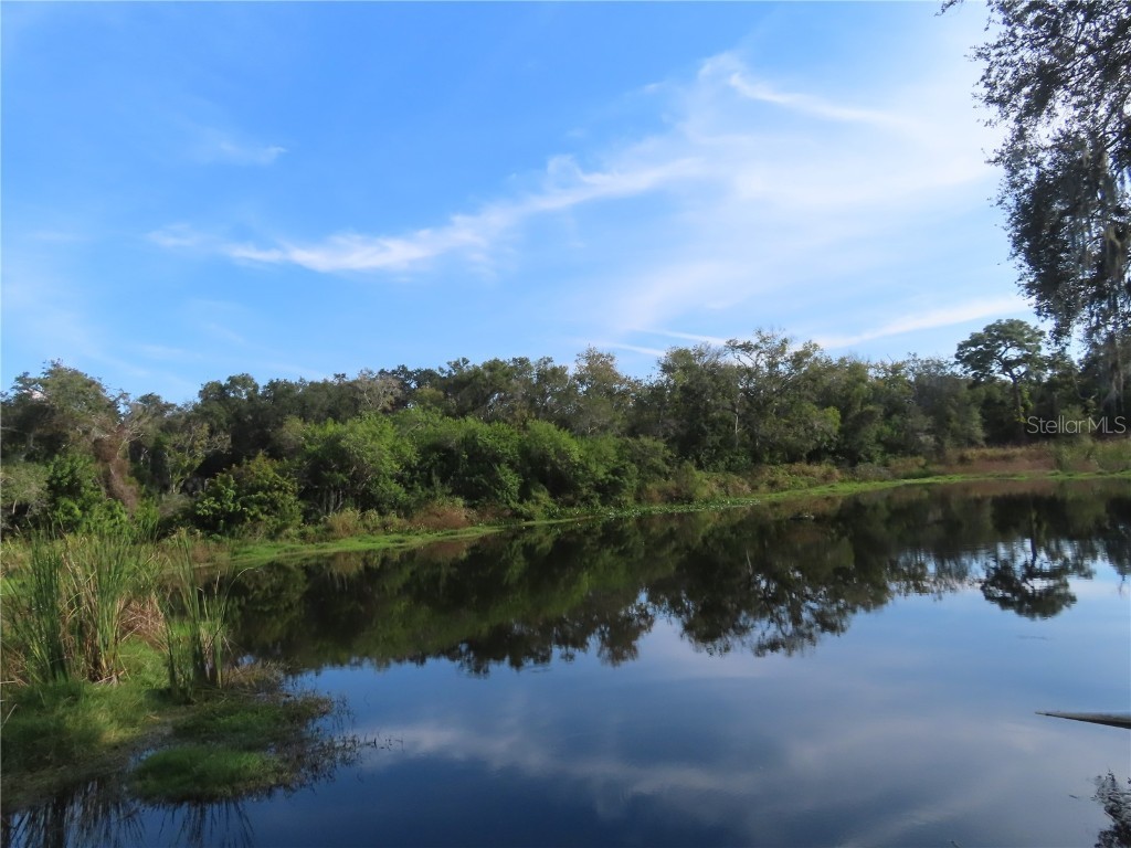 2625 State Road 590 #1212 Clearwater FL 33759 TB8451356 image1