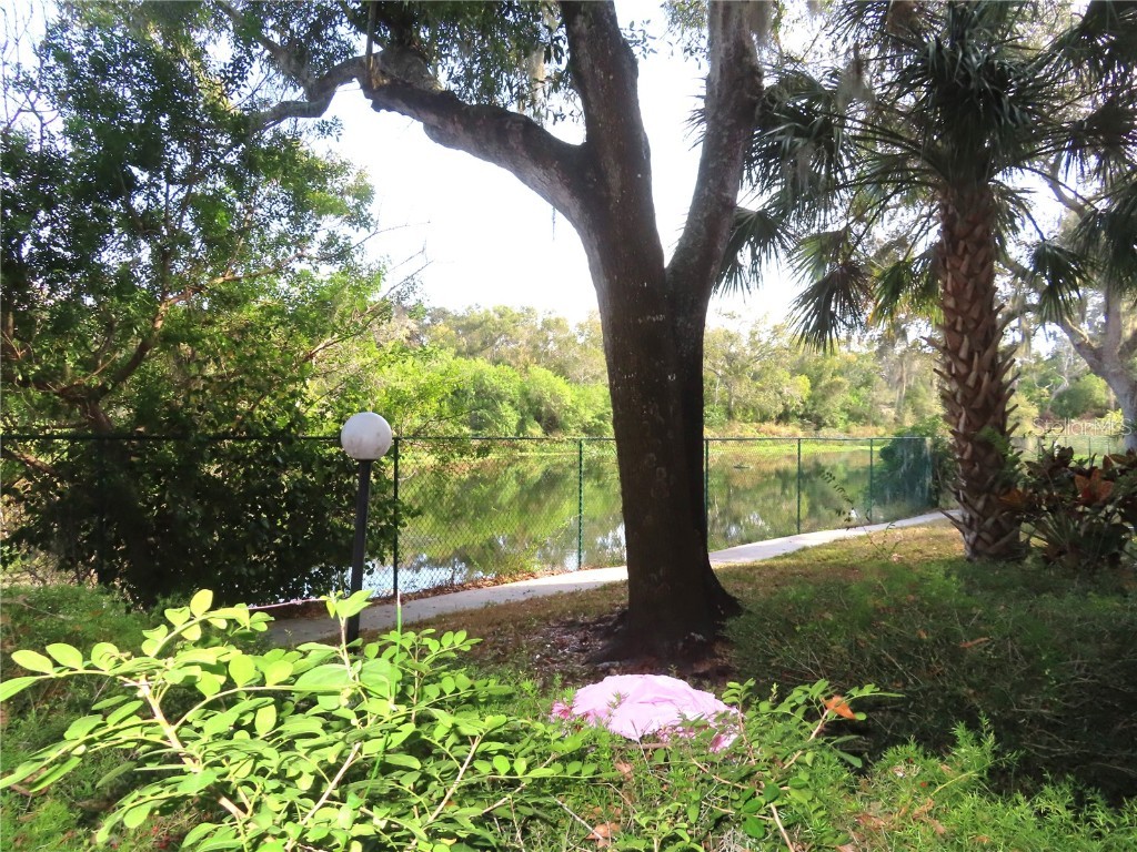 2625 State Road 590 #1212 Clearwater FL 33759 TB8451356 image11