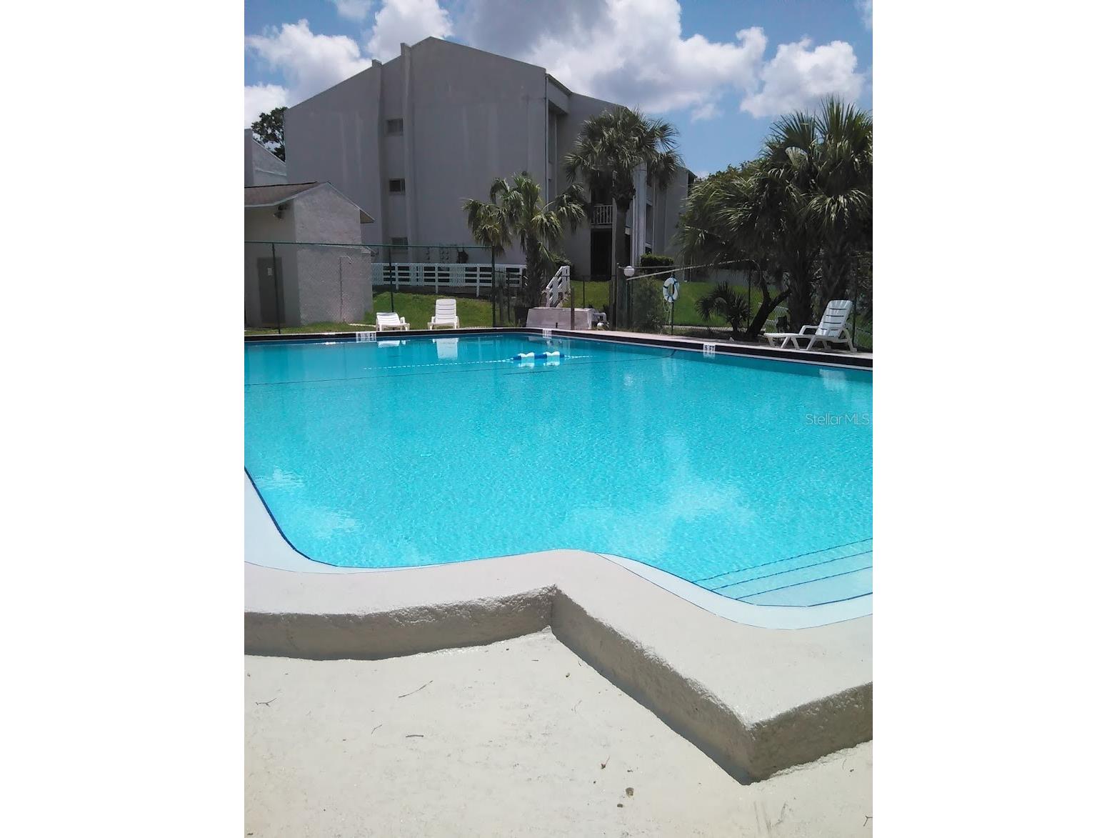 2625 State Road 590 #1623 Clearwater FL 33759 A4687001 image36