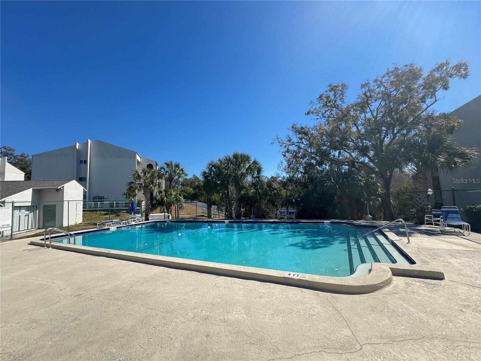 2625 State Road 590 #1822 Clearwater FL 33759 TB8480337 image15