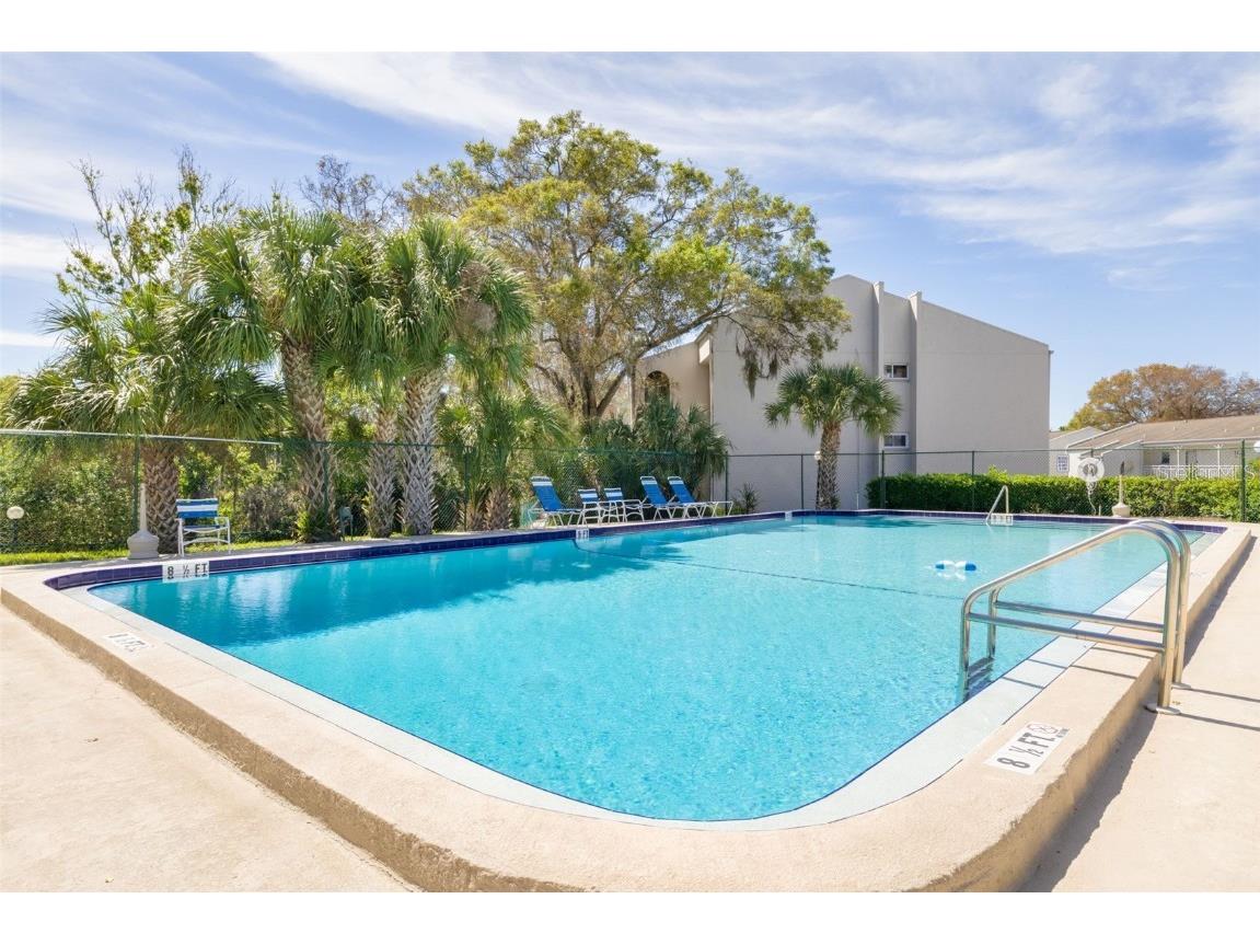 2625 State Road 590 #1924 Clearwater FL 33759 TB8453844 image20