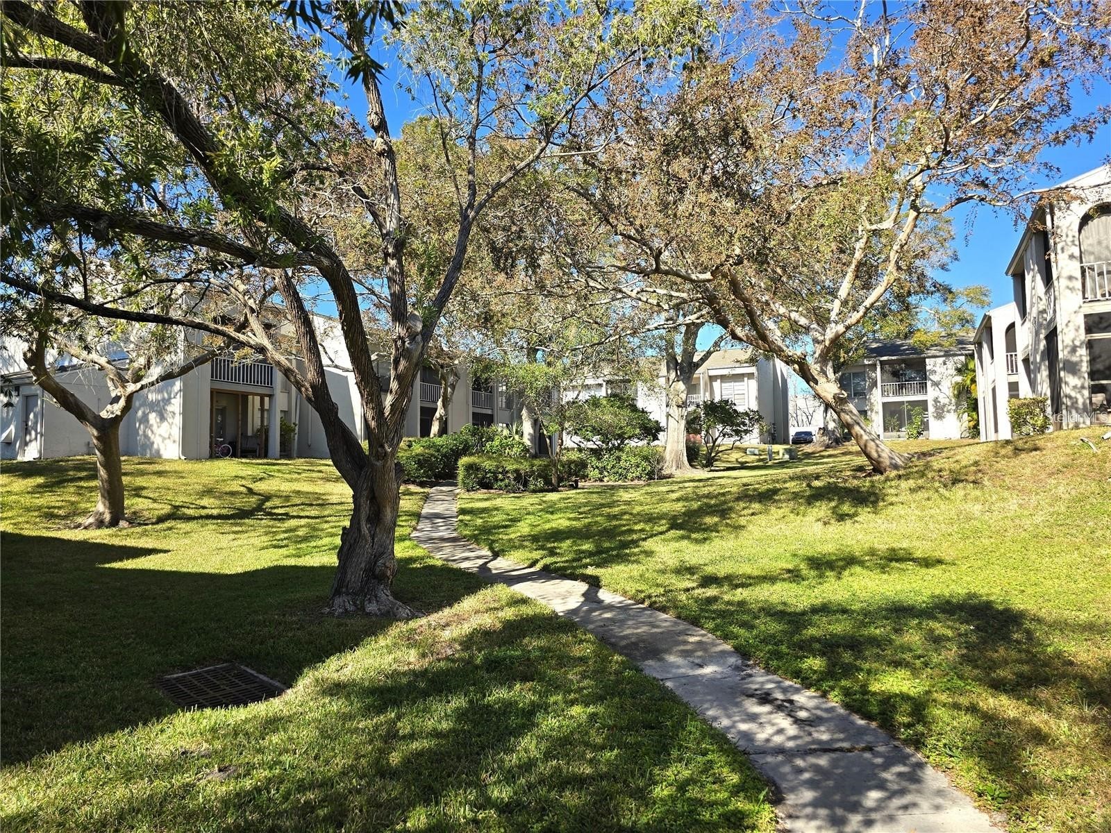 2625 State Road 590 #2413 Clearwater FL 33759 TB8496841 image1