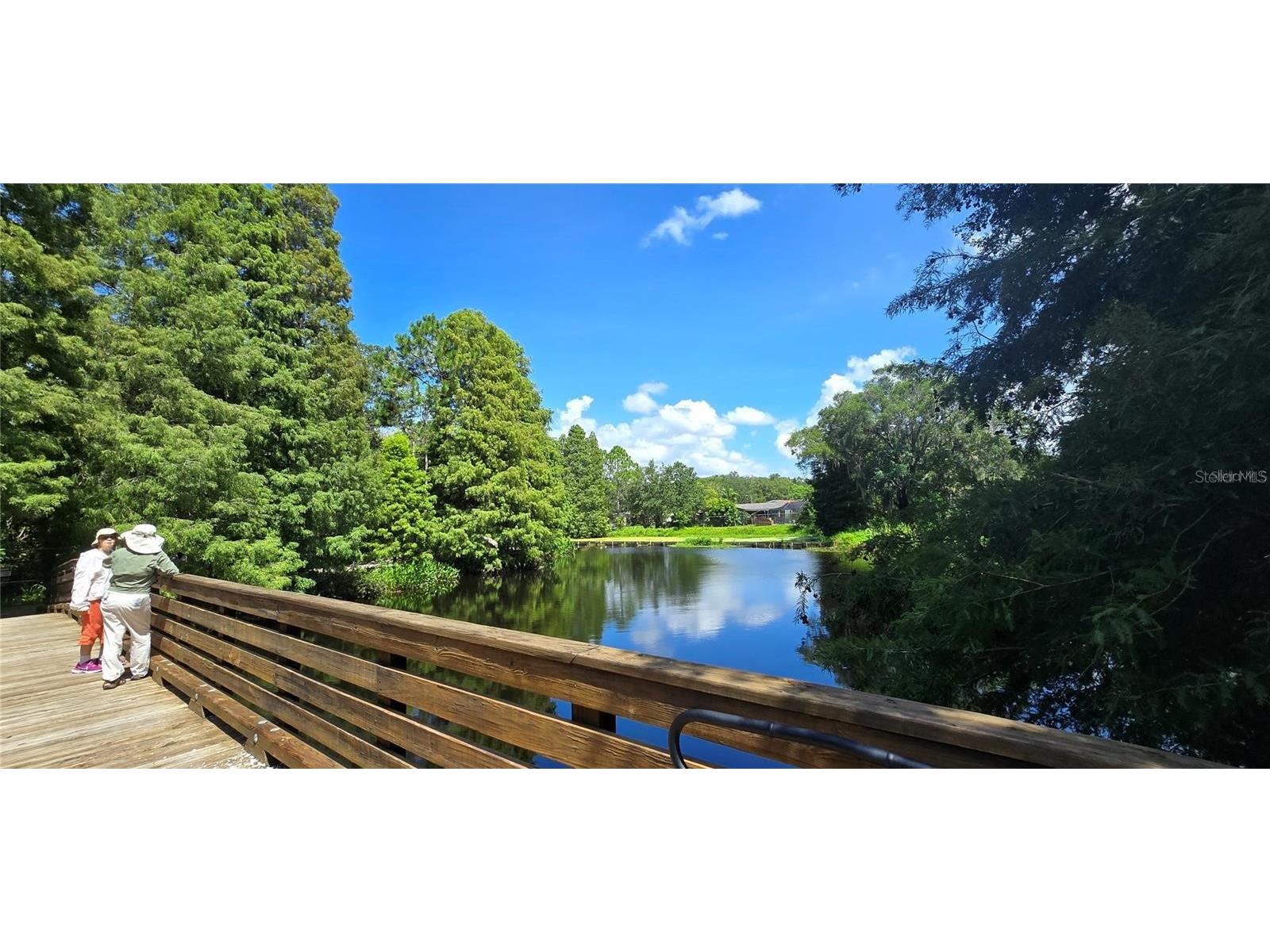2625 State Road 590 #2413 Clearwater FL 33759 TB8496841 image40